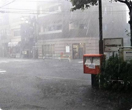 雪・雹災