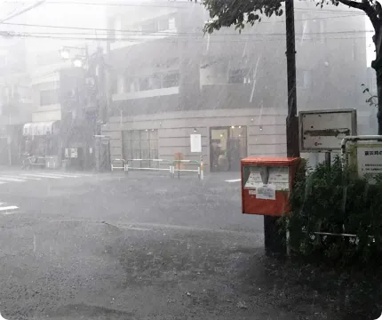 雪・雹災