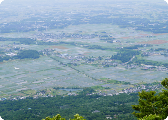 近くで安心の地域密着