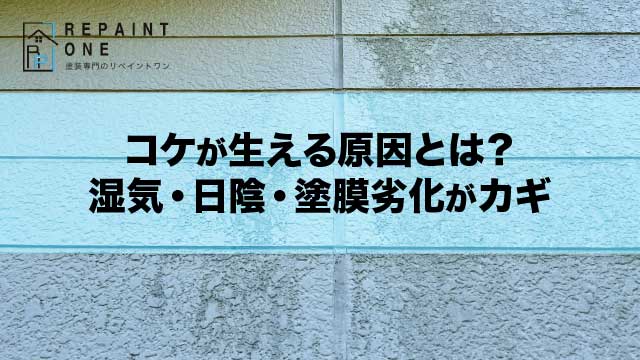 コケが生える原因とは？湿気・日陰・塗膜劣化がカギ
